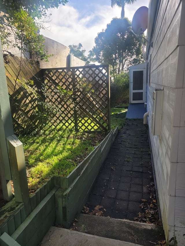 65 Reynella Drive Massey_4