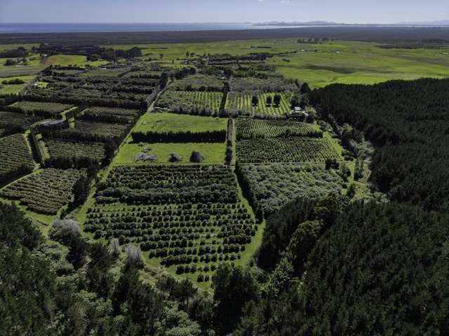 101 Turk Valley Road Waiharara_3