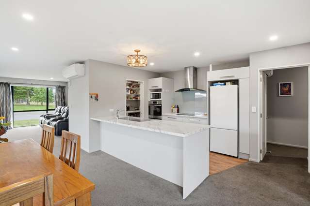 16 Pallid Green Rolleston_4