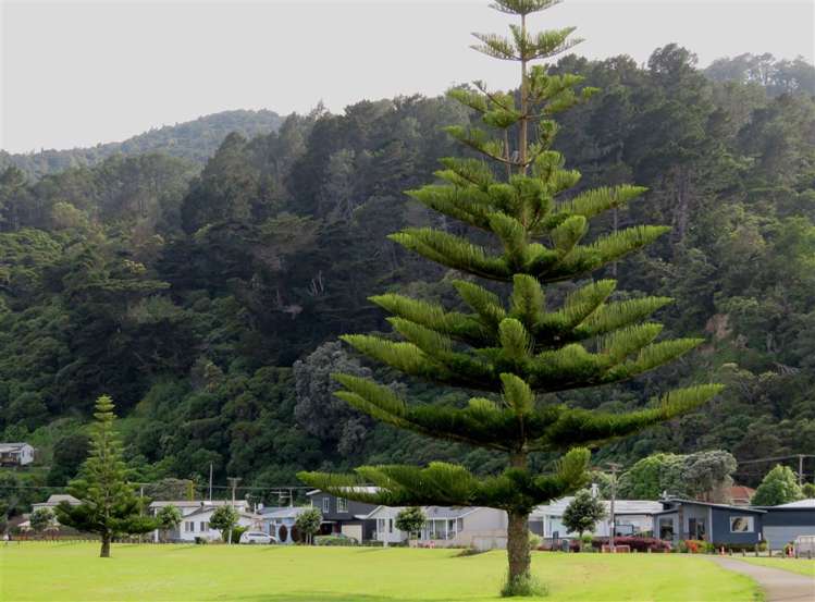 211 Moanataiari Street Thames_20