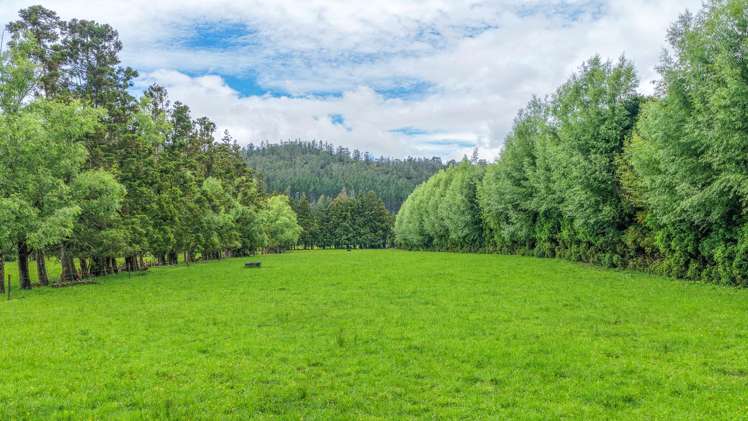 214 Puketui Valley Road Hikuai_7