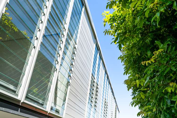 17 Kakariki Avenue Mount Eden_35