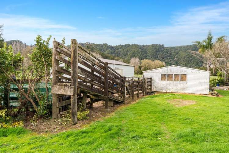 386 Otaika Valley Road Otaika_31