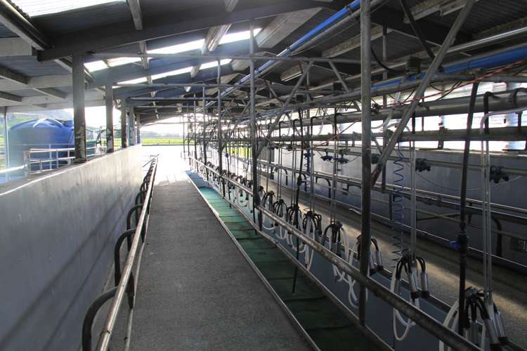 70 Johnston Road Kokatahi_8