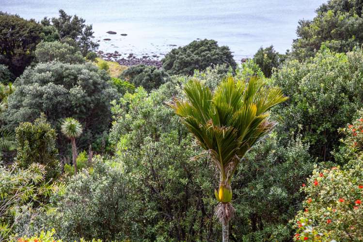 402 Tuateawa Road Coromandel_18