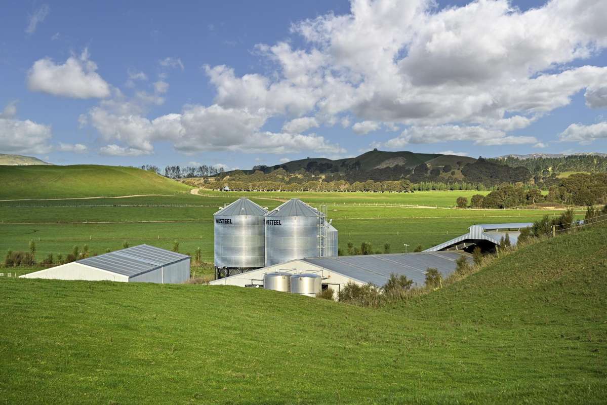 500 Willowford Road_4