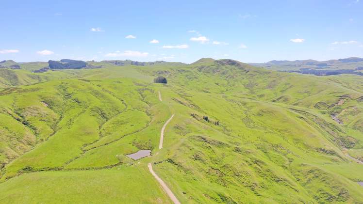 207 Mangatuna Road Weber_14