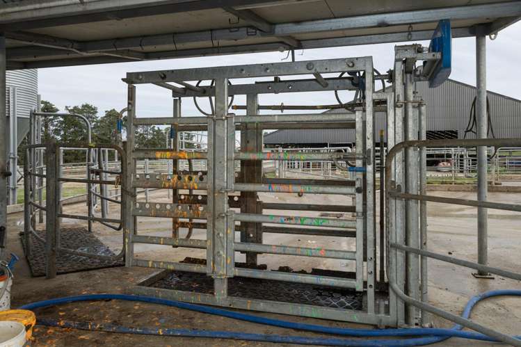 1444 Maronan Valetta Road Westerfield_20