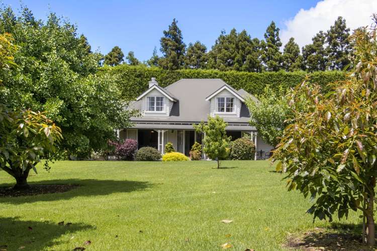 241 Rea Road Hauraki Surrounds_14