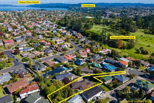 60 Budgen Street Mount Roskill_1