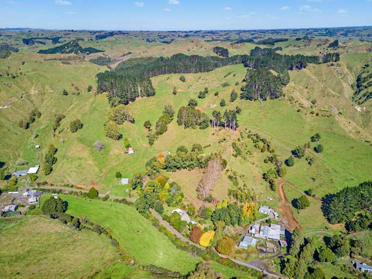 822 Motukawa Rd Inglewood_18