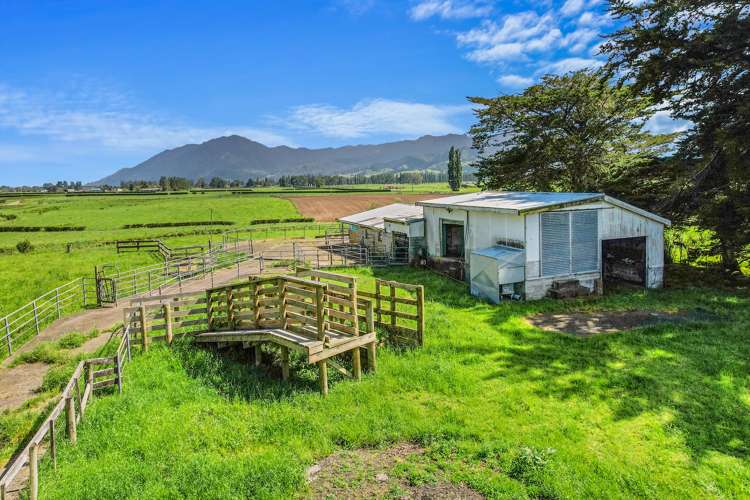 942 Te Aroha-Gordon Road Manawaru_29
