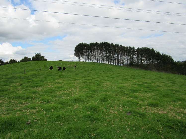 Bisset Road Kaikohe_14