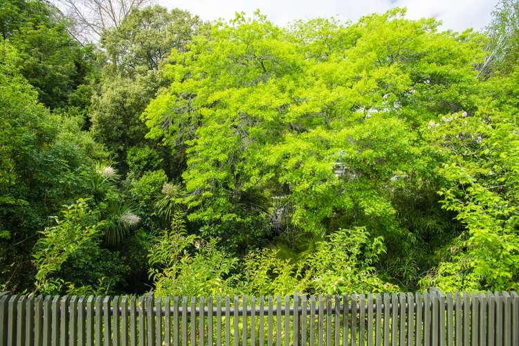 5 Russell Street Whataupoko_16