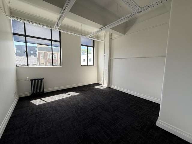 Level 2/49-53 Courtenay Place Te Aro_1