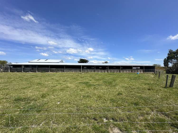 236 Telegraph Road Inch Clutha_15