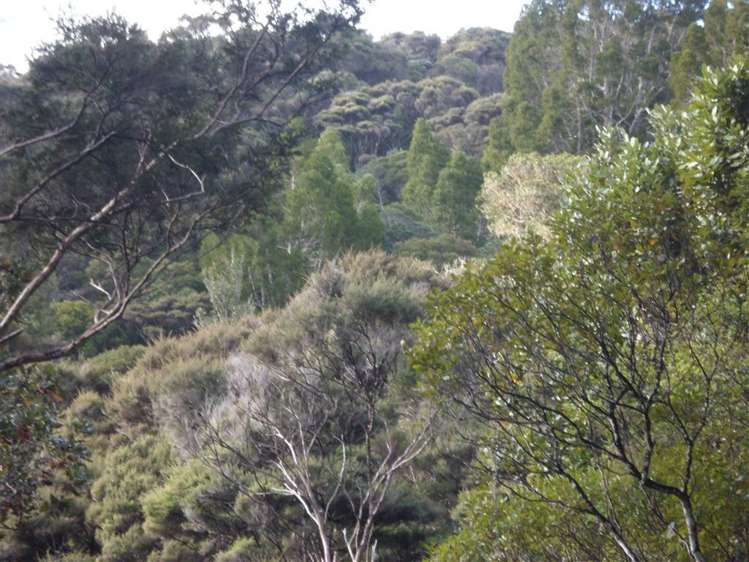 27 Omatai Road Peria_18