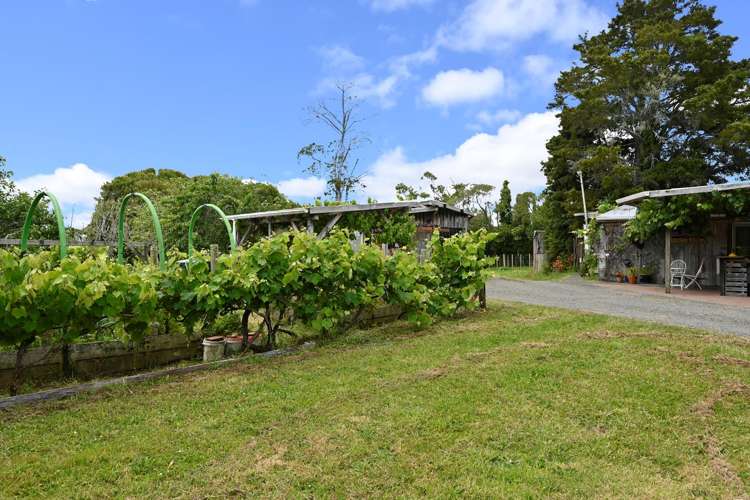 867 Kahikatea Flat Road Waitoki_29