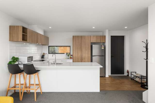 52e Picton Avenue Riccarton_1