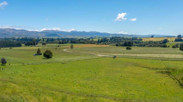 375 Snee Road Takapau_1