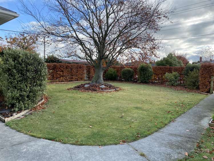 91 Thomson Street Tinwald_6