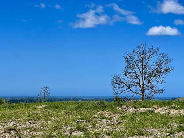 Lot 1 Gaudion Road, Peebles Oamaru_1