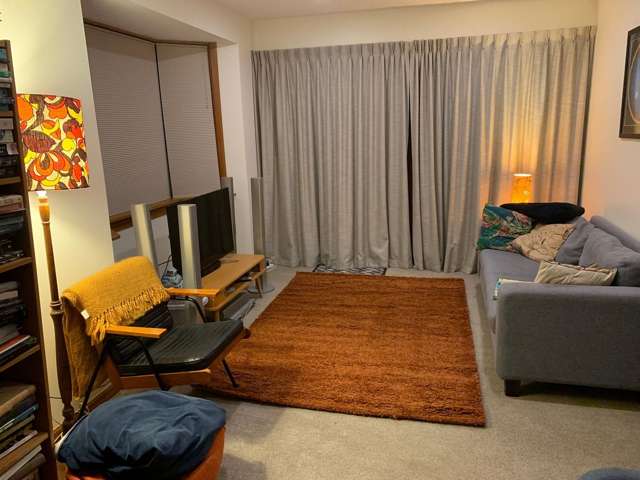73A Pirie Street Mount Victoria_4