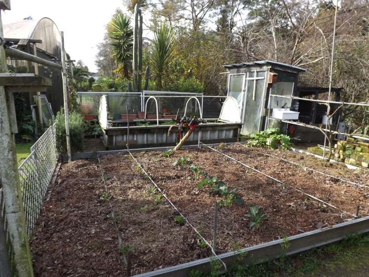 39 Page Street Morrinsville_12