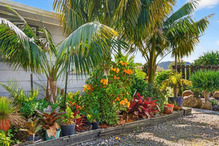 252 Oneriri Road Kaiwaka_34