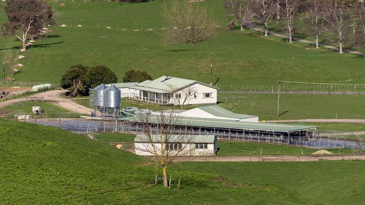 913 Whirinaki Valley Road Ngakuru_1