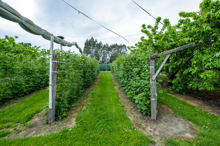 7 Opuha Saint East Orari_23