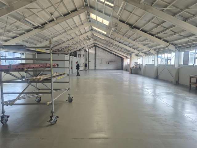 110 Orbell Street Sydenham_4