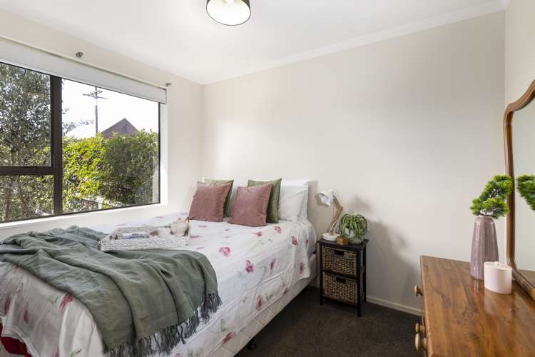 33 Alma Street Renwick_11