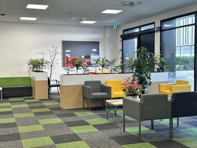 3 Akoranga Drive Northcote_4