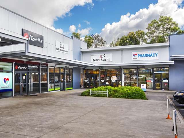 A5/1-3 Red Hills Road Massey_1