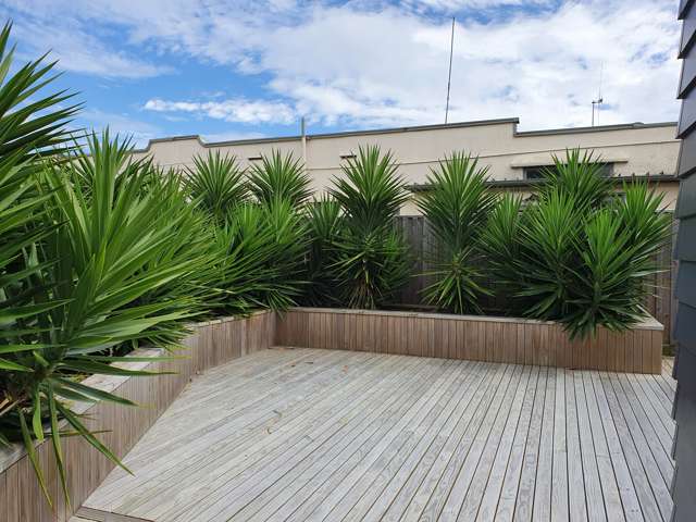 24 Rangitira Avenue Palmerston North Central_2