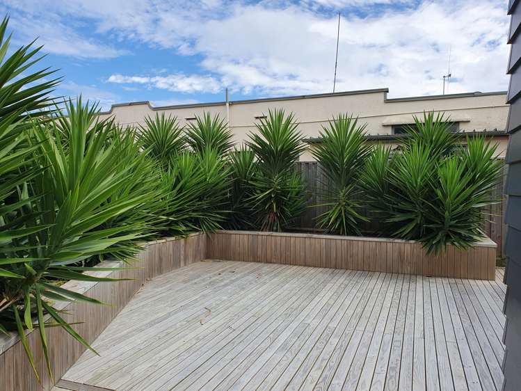 24 Rangitira Avenue Palmerston North Central_2