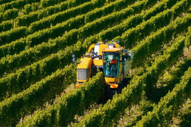 1 Wairau Plains Renwick_4