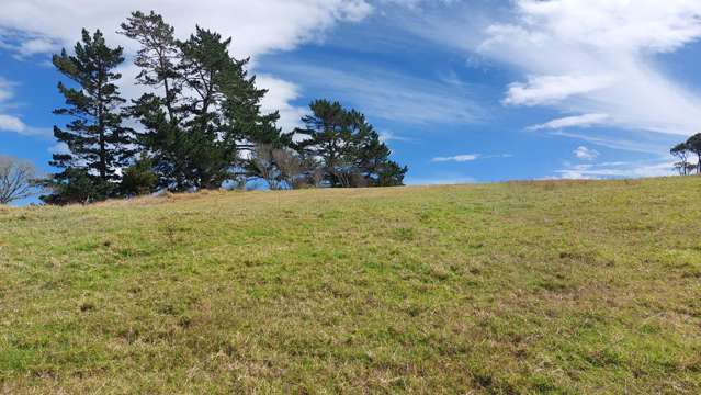 Wearmouth Road Paparoa_4
