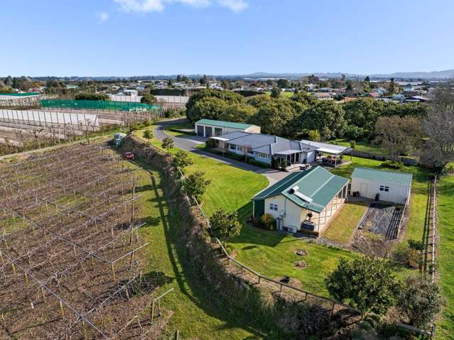 The complete package in Paengaroa