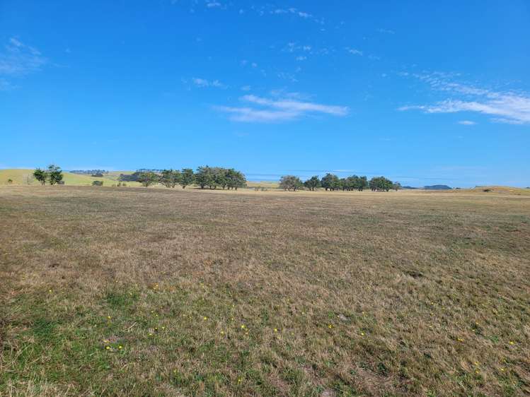 1008 Te Maire Road Te Kopuru_12