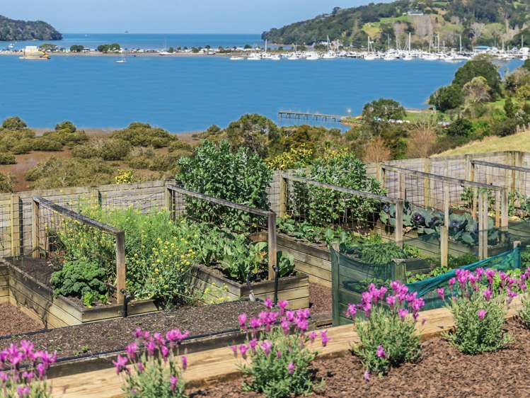 161 Green Road Matakana_33