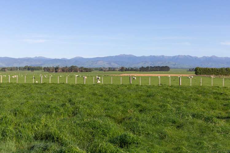 595 East Taratahi Road_1