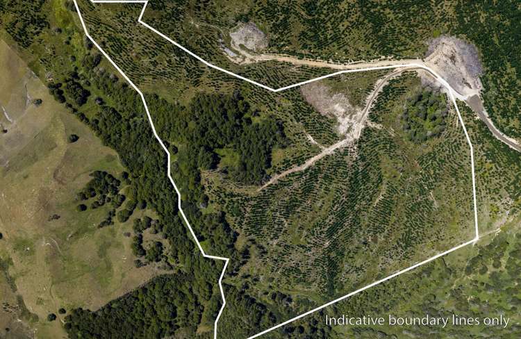 Lot/12 Arcadia Road Paparoa_3