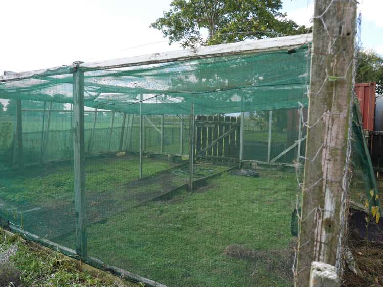 1257 Kereone Road Ngarua_21