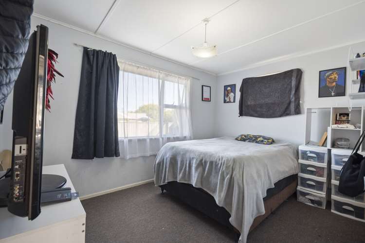 13 Flower Street Bulls_8