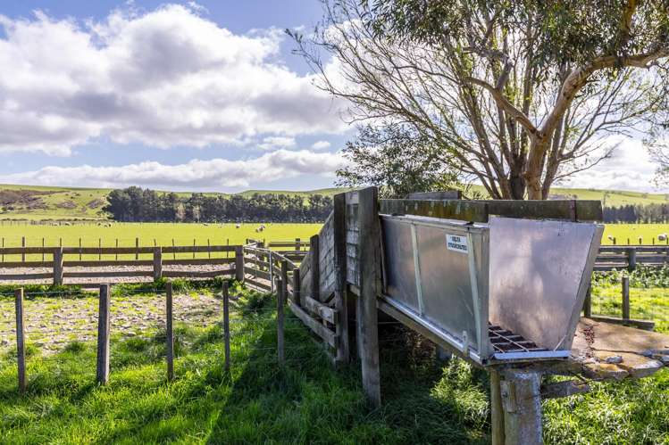 White Rock Road Martinborough_12