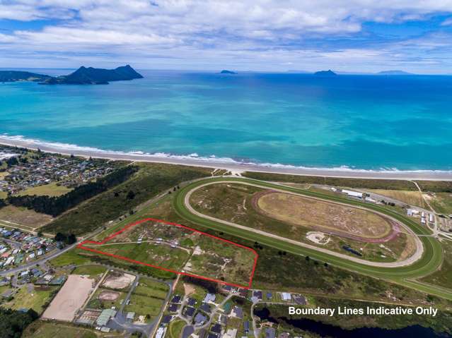 98 Peter Snell Road Ruakaka_3