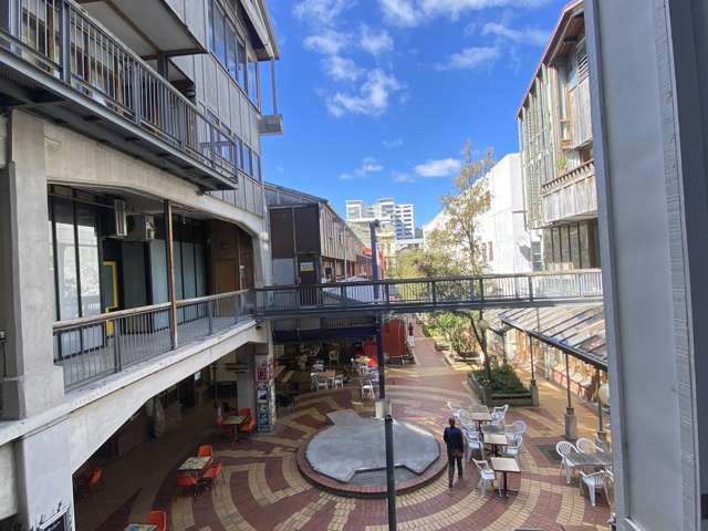 229/21 Left Bank Te Aro_1