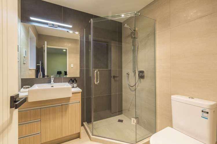 58 Timmer Road Flat Bush_22